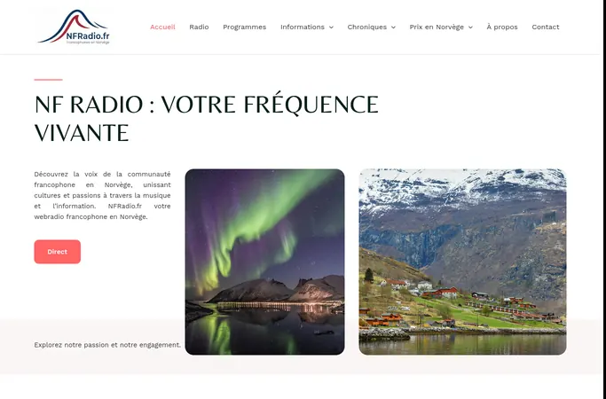 Aperçu de la page d'accueil du site nfradio.fr